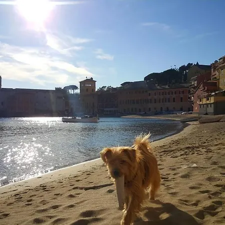 029 - Casa La Dolce Vita,15 Minuti A Piedi Dalle Spiagge Di *